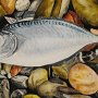 Pesce morto, Acryl und Öl, 50 x 60 cm